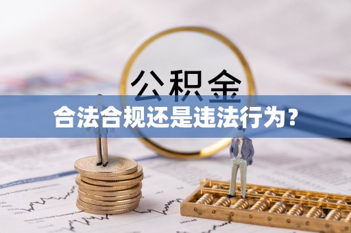 千山合法合规还是违法行为？